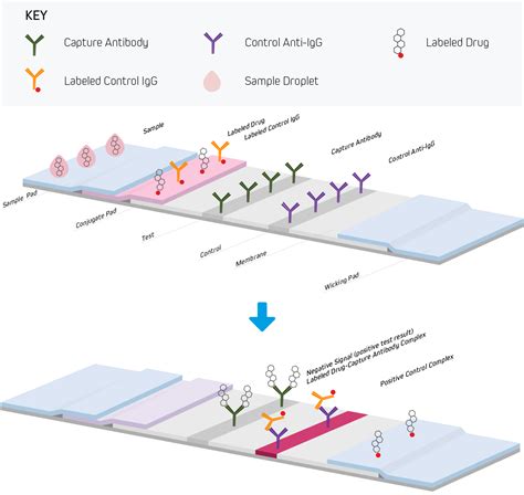 types of elisa assays